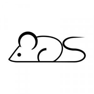 DoriDoriko
