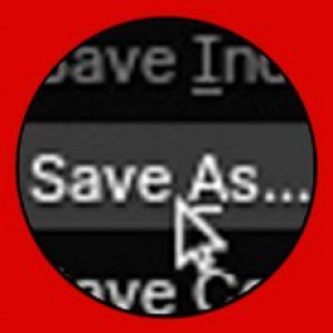 SaveAss_