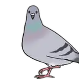 Bengugu’s MMD
