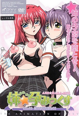 姐姐☆怀孕MIX 3