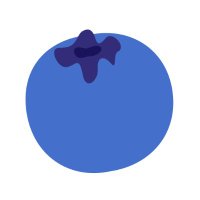 蓝莓VPN